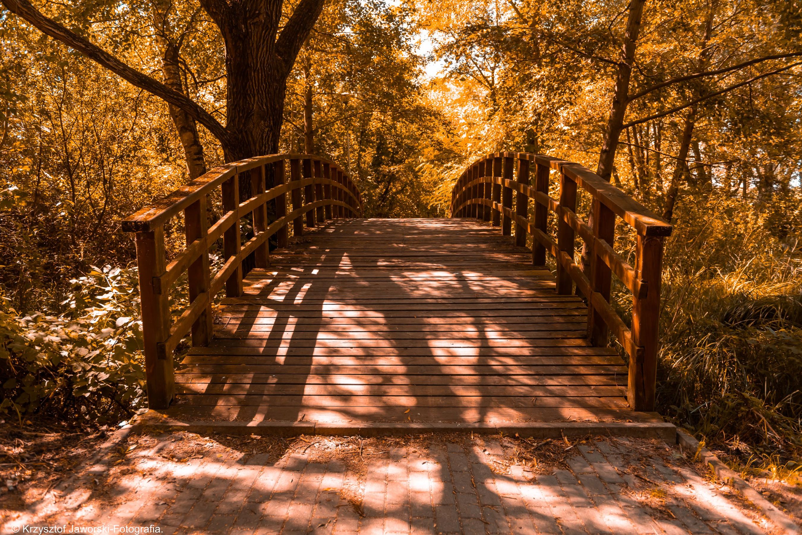 Krzysztof Jaworskibartoszpniewski.com